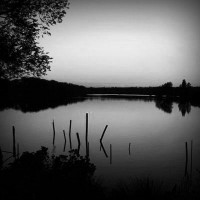 /album/nickelodeon-musor-velemenyek/photolia-b01-jpg/